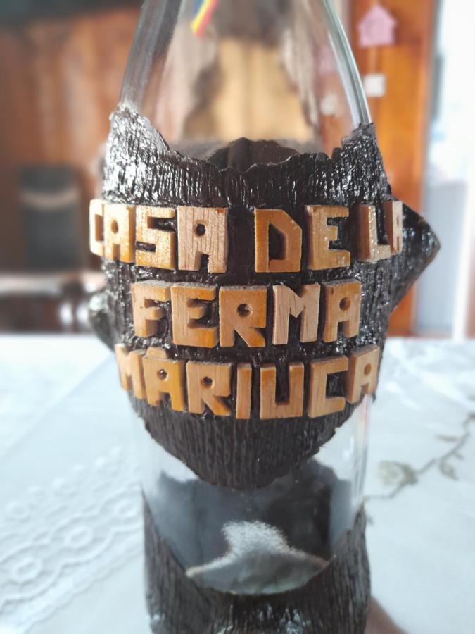 فيلا Casa De La Ferma Mariuca Berbesti المظهر الخارجي الصورة
