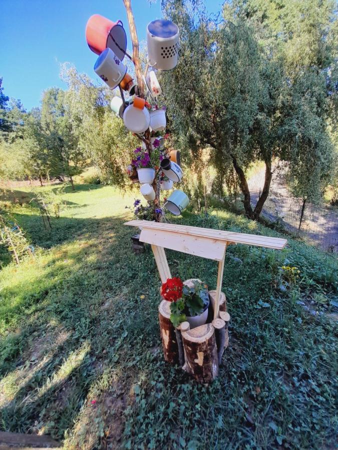 فيلا Casa De La Ferma Mariuca Berbesti المظهر الخارجي الصورة