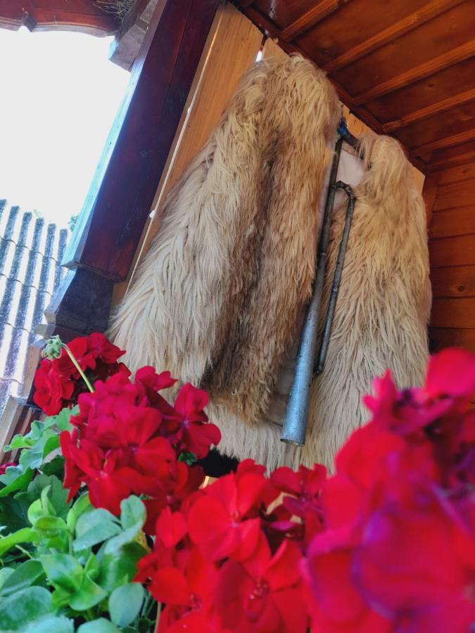 فيلا Casa De La Ferma Mariuca Berbesti المظهر الخارجي الصورة