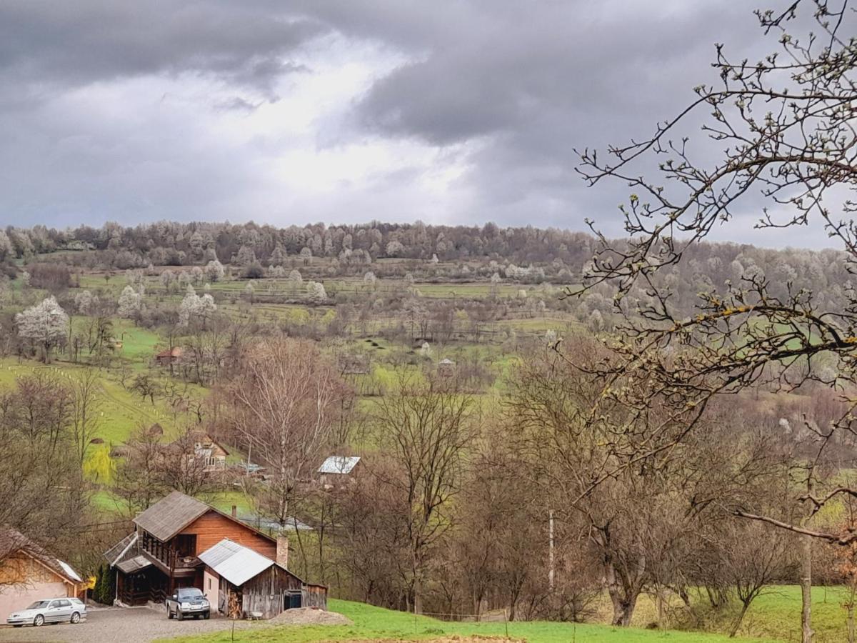 فيلا Casa De La Ferma Mariuca Berbesti المظهر الخارجي الصورة