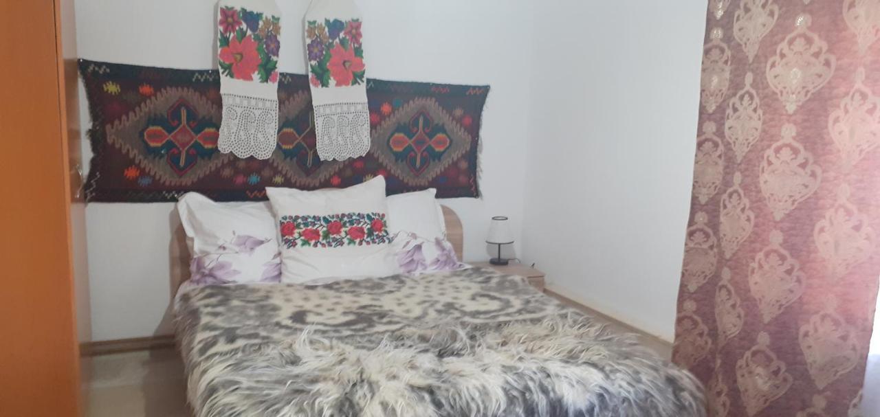 فيلا Casa De La Ferma Mariuca Berbesti المظهر الخارجي الصورة