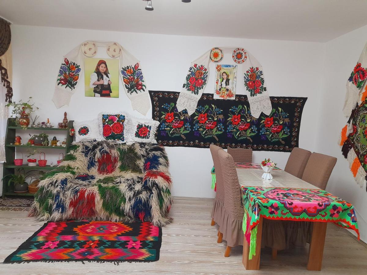 فيلا Casa De La Ferma Mariuca Berbesti المظهر الخارجي الصورة